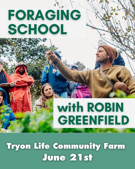 Foraging School Poster